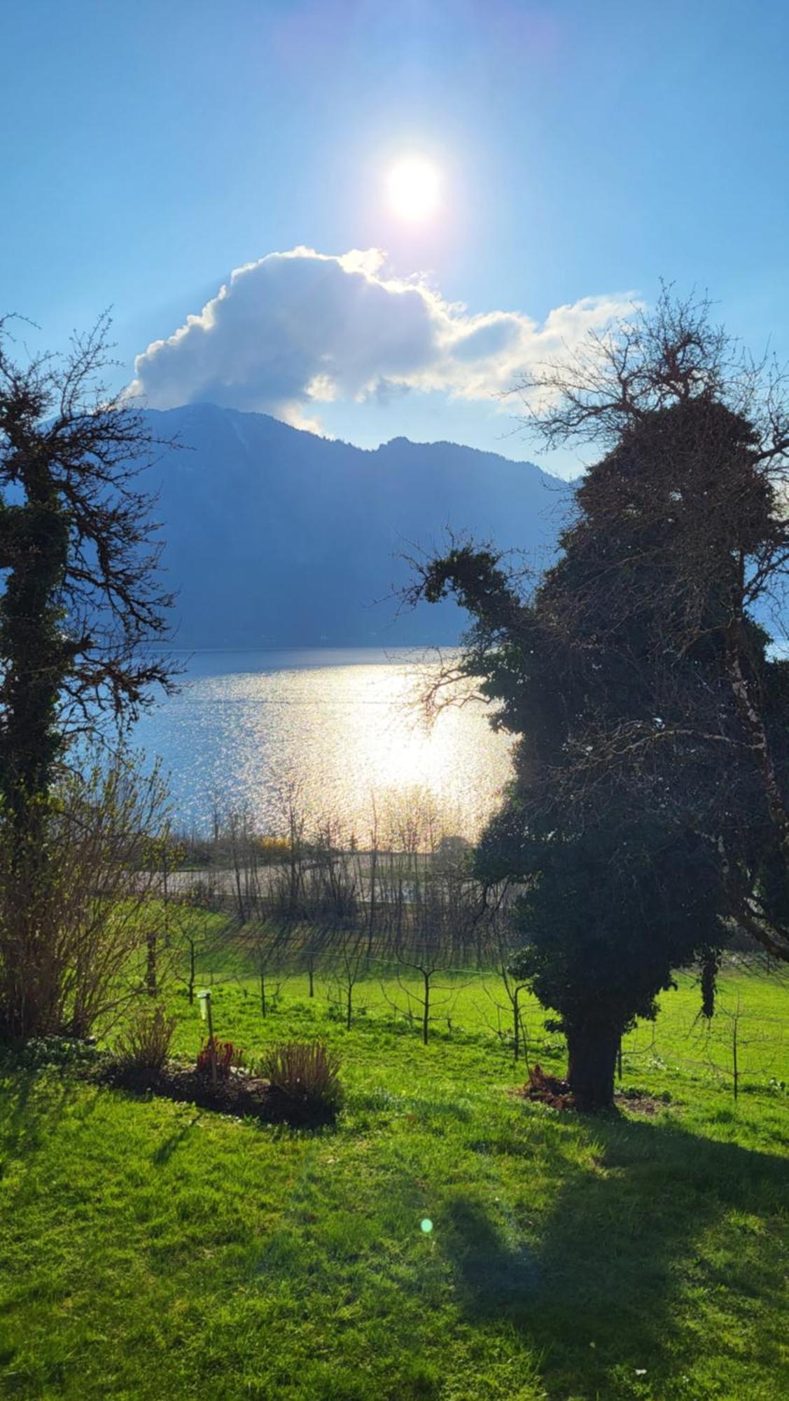Exklusiv Apartment Scheichl Unterach am Attersee Luaran gambar